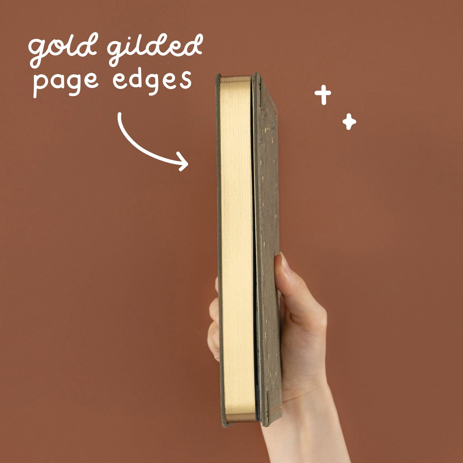 Special Edition Notebook